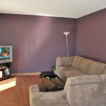 living room walls and foor sectional