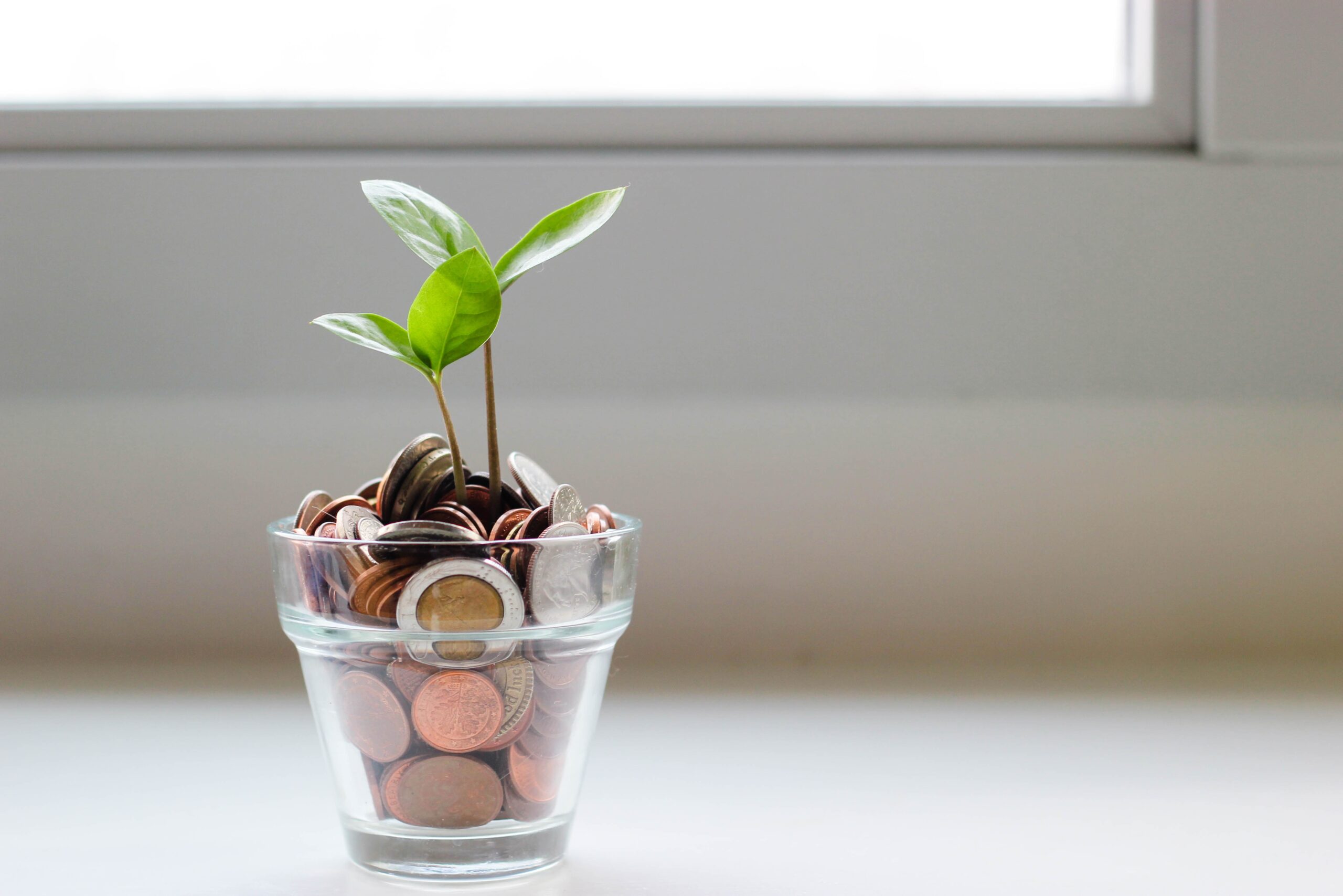 Plants growing out of coins